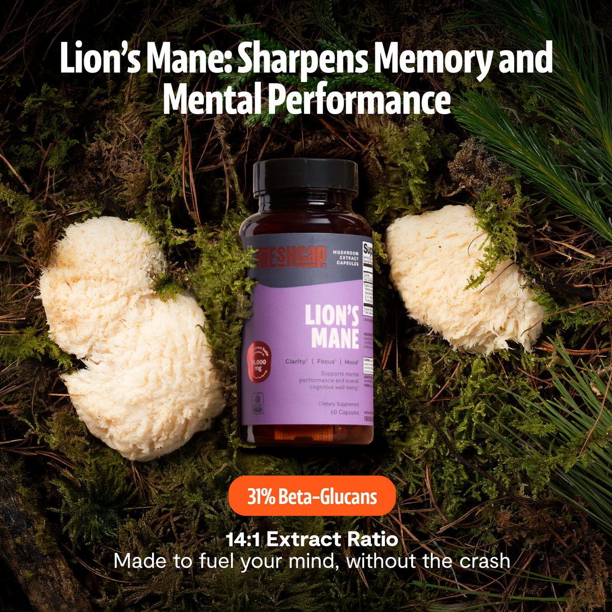 Organic Lion's Mane Capsules – Triple-Extracted | FreshCap