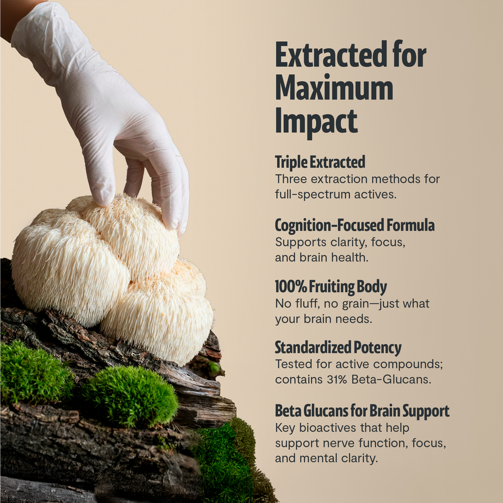 Organic Lion's Mane Capsules – Triple-Extracted | FreshCap
