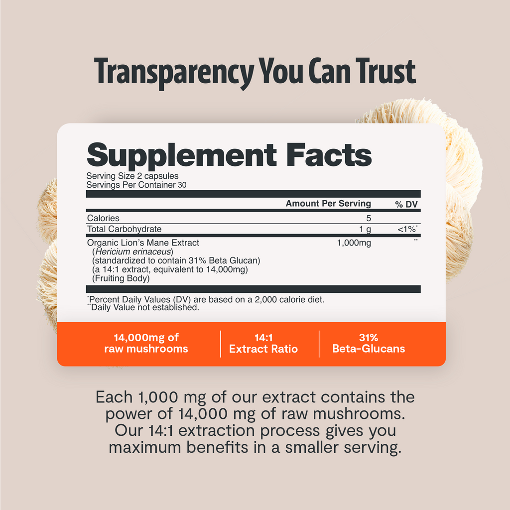 Organic Lion's Mane Capsules – Triple-Extracted | FreshCap