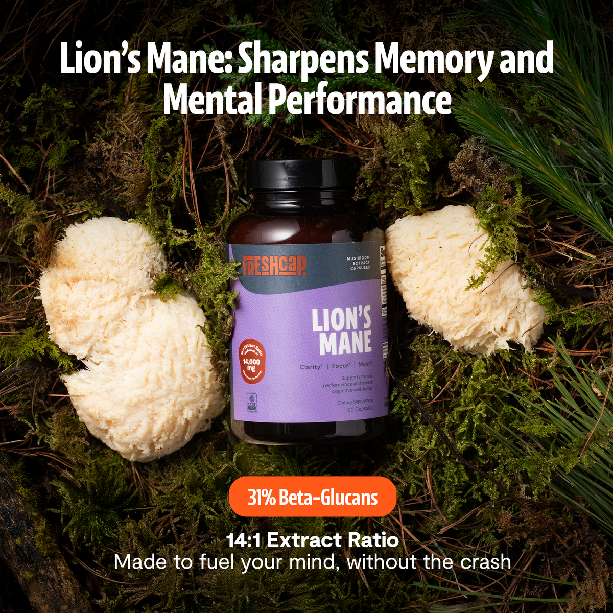 Organic Lion's Mane Capsules – Triple-Extracted | FreshCap