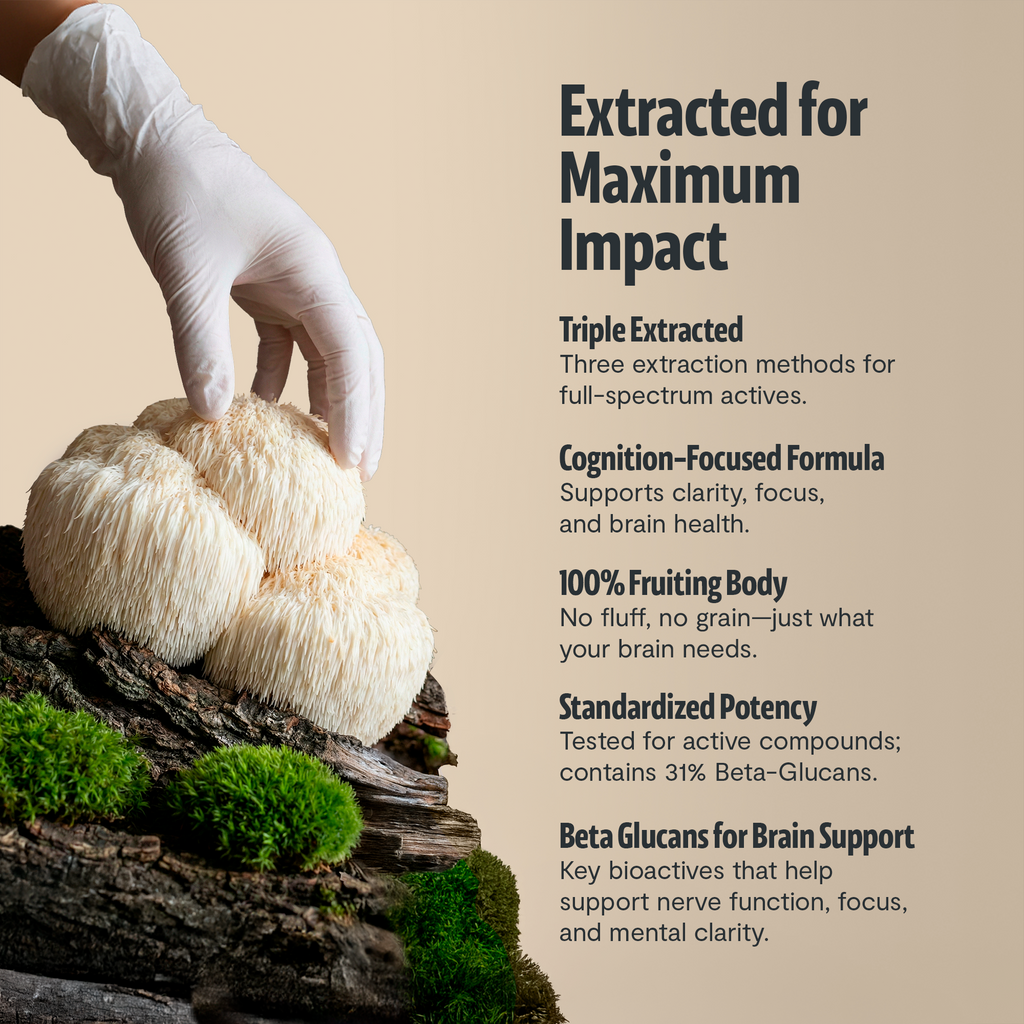 Organic Lion's Mane Capsules – Triple-Extracted | FreshCap