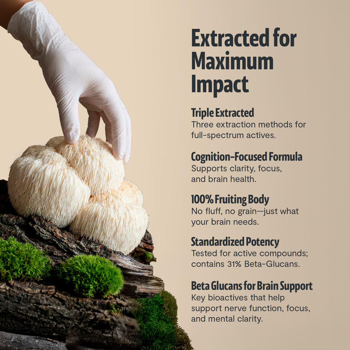 Organic Lion's Mane Capsules – Triple-Extracted | FreshCap