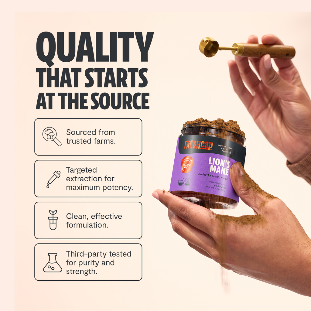 Organic Lion's Mane Mushroom Powder | Triple-Extracted Cognitive Support