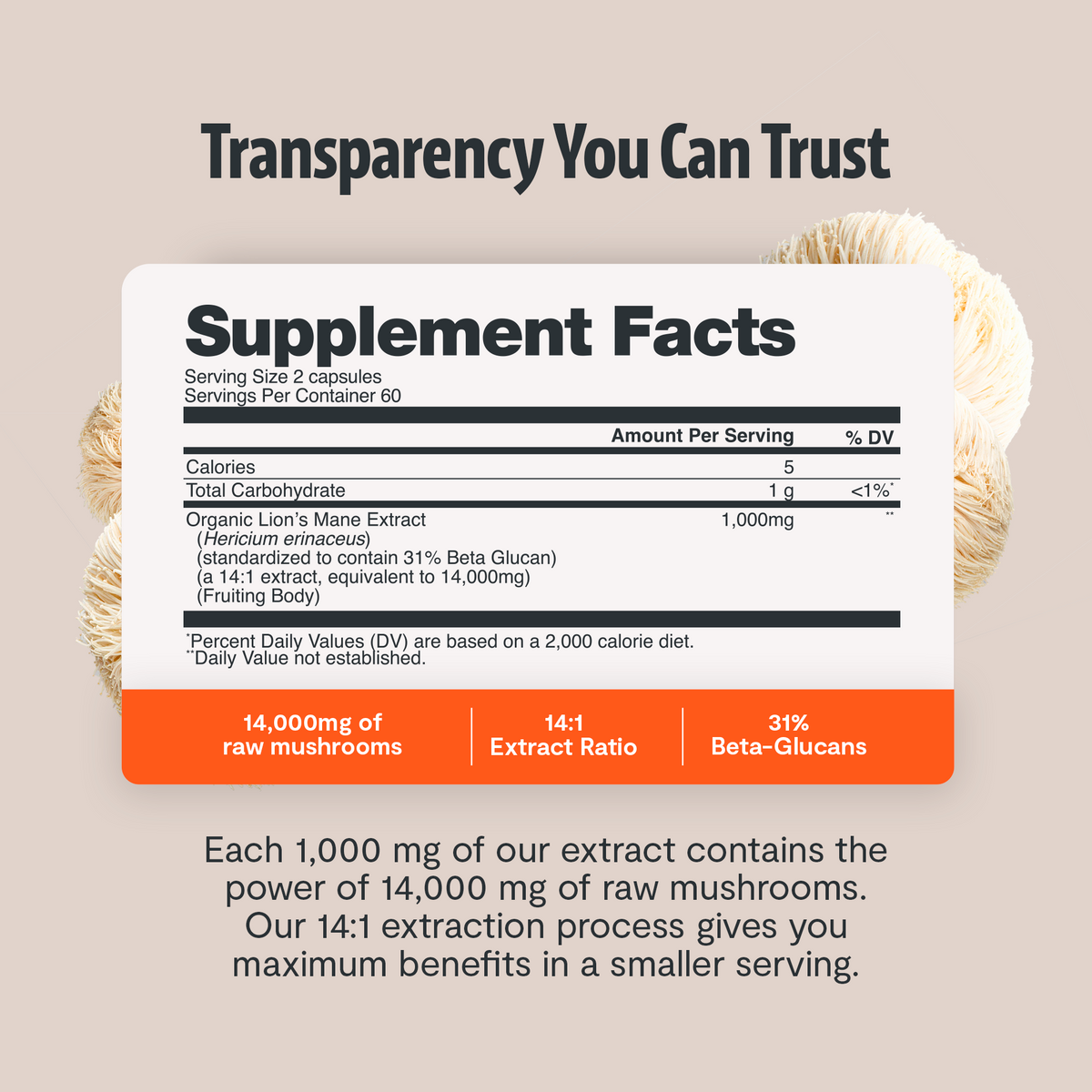 Organic Lion's Mane Capsules – Triple-Extracted | FreshCap
