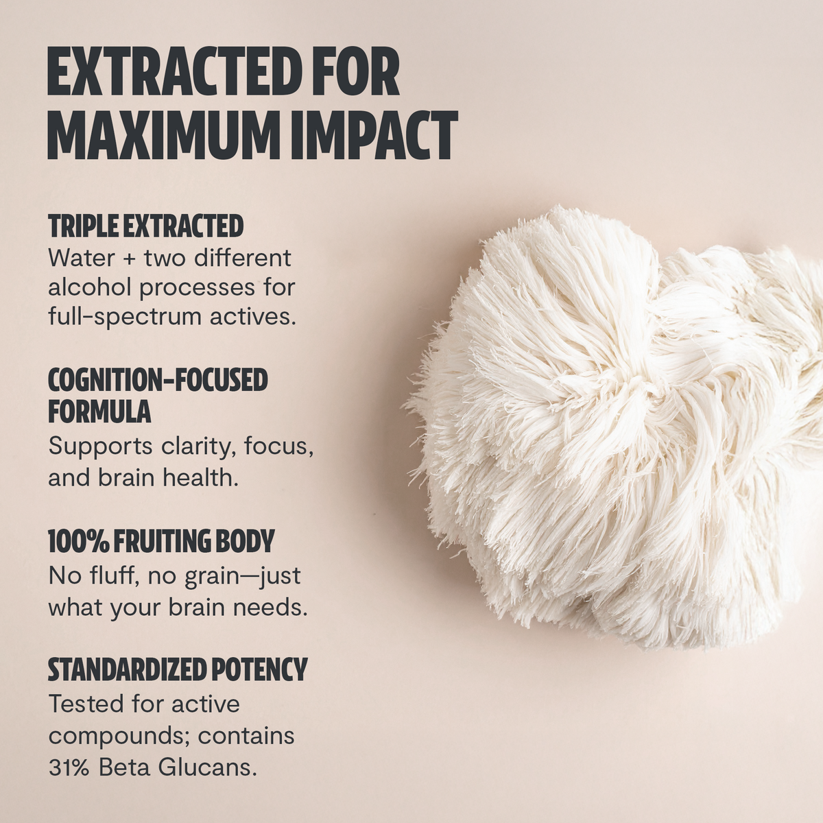 Organic Lion's Mane Mushroom Powder | Triple-Extracted Cognitive Support